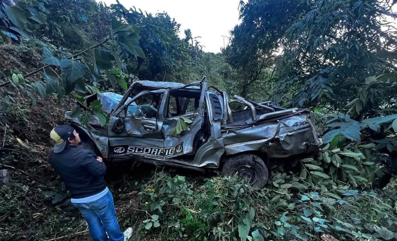 A wrecked silver Scorpio SUV lies in a wooded area after plunging off a road.