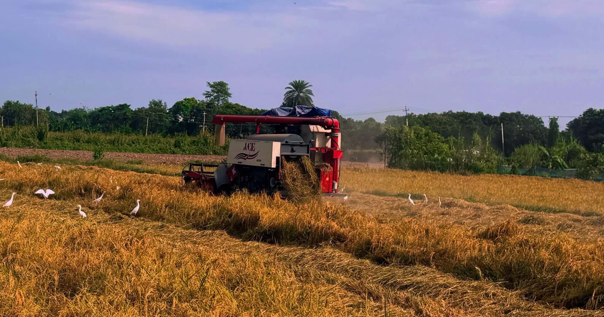 A combine harvester operating in a field.