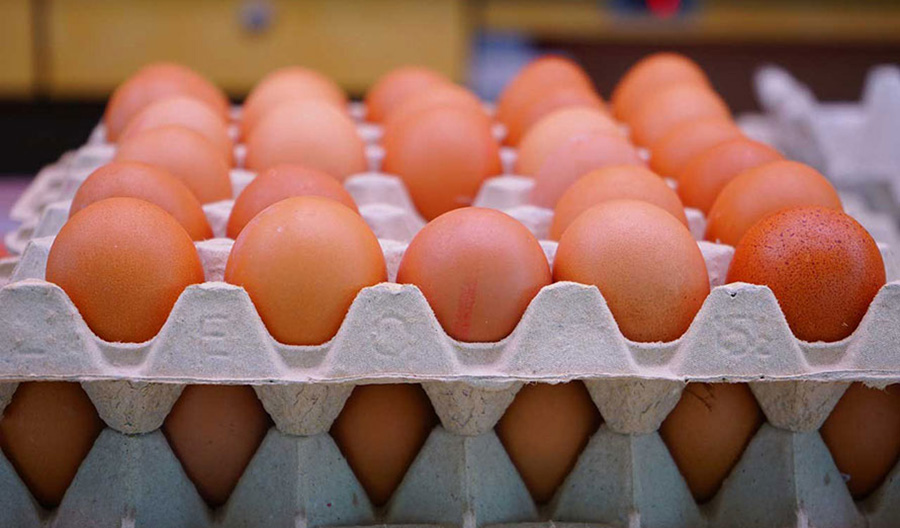 A close-up of a crate filled with brown eggs.