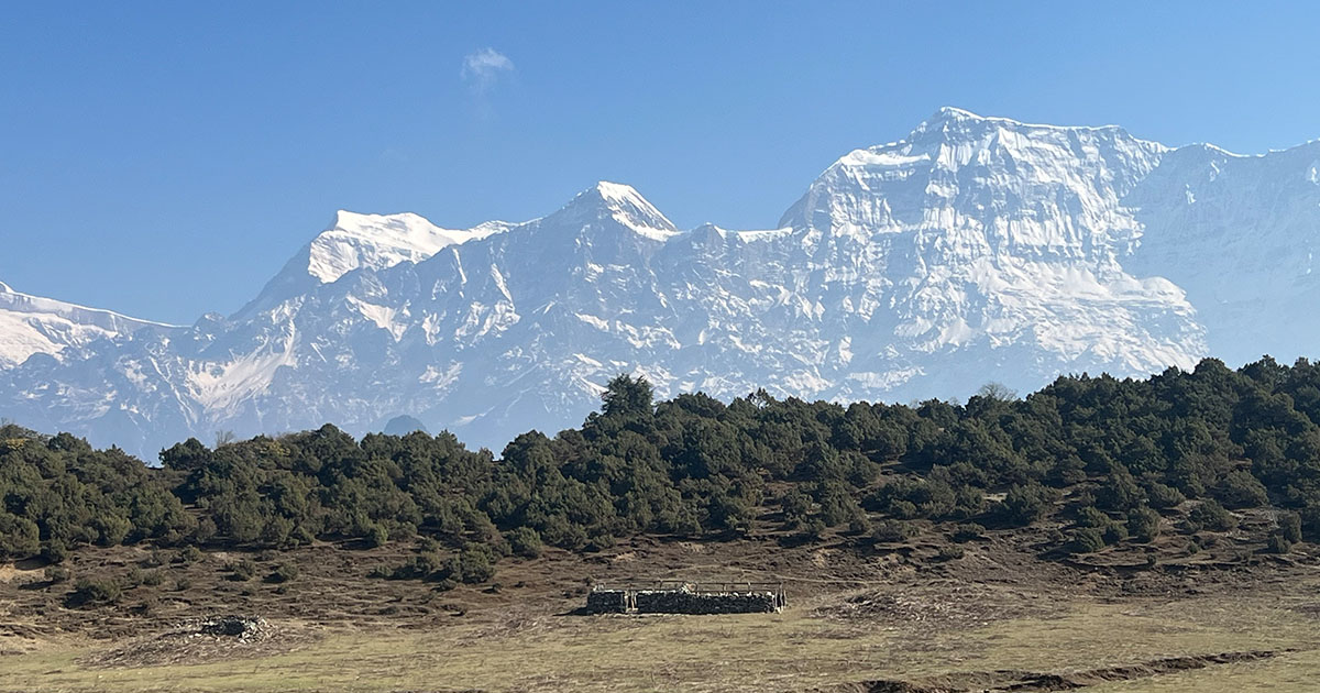 Snow-capped Himalayan peaks rising above green hills and a pasture under a blue sky.