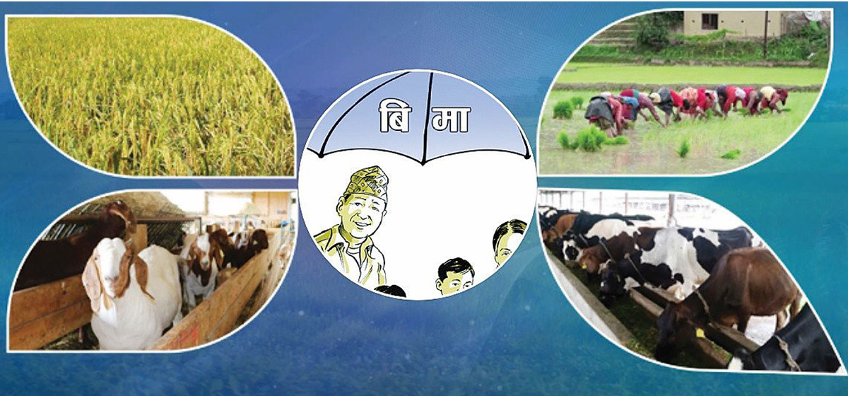 A collage showing crops, farmers, and livestock, representing agricultural insurance.