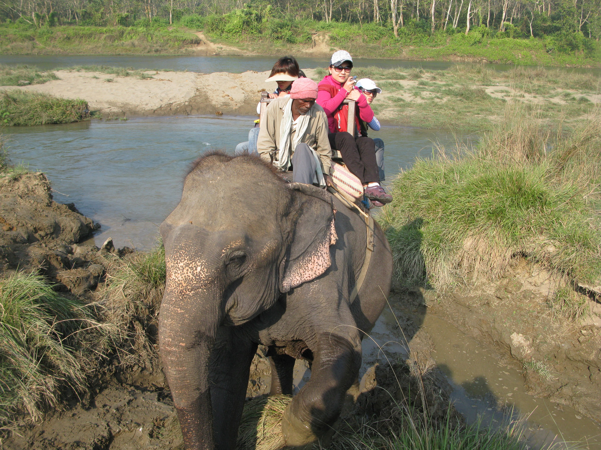Tourists riding an elephant in Chitwan.