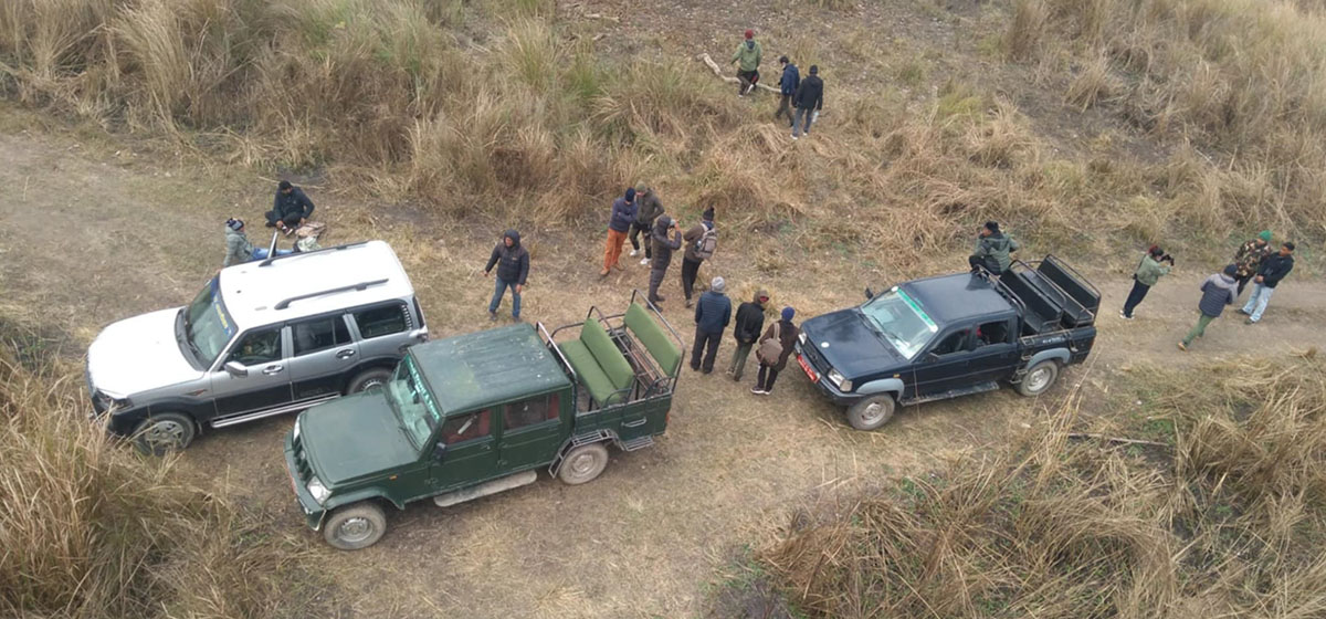 An aerial view of tourists and vehicles in a grassy area at the national park.